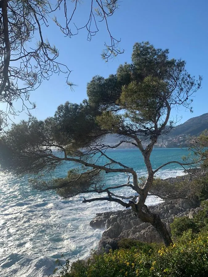 Castiello B&B Roquebrune-Cap-Martin Apartment
