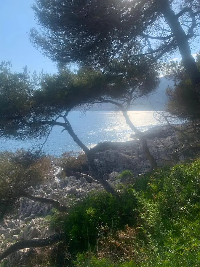 Apartment Castiello B&B Roquebrune-Cap-Martin France